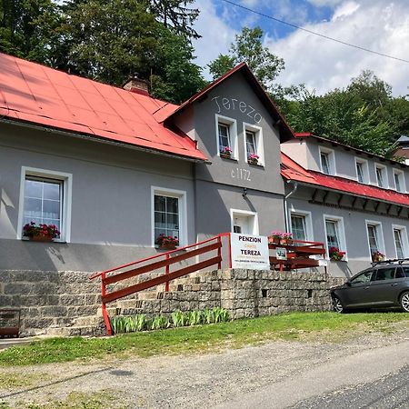 Chata Tereza Janov nad Nisou Luaran gambar
