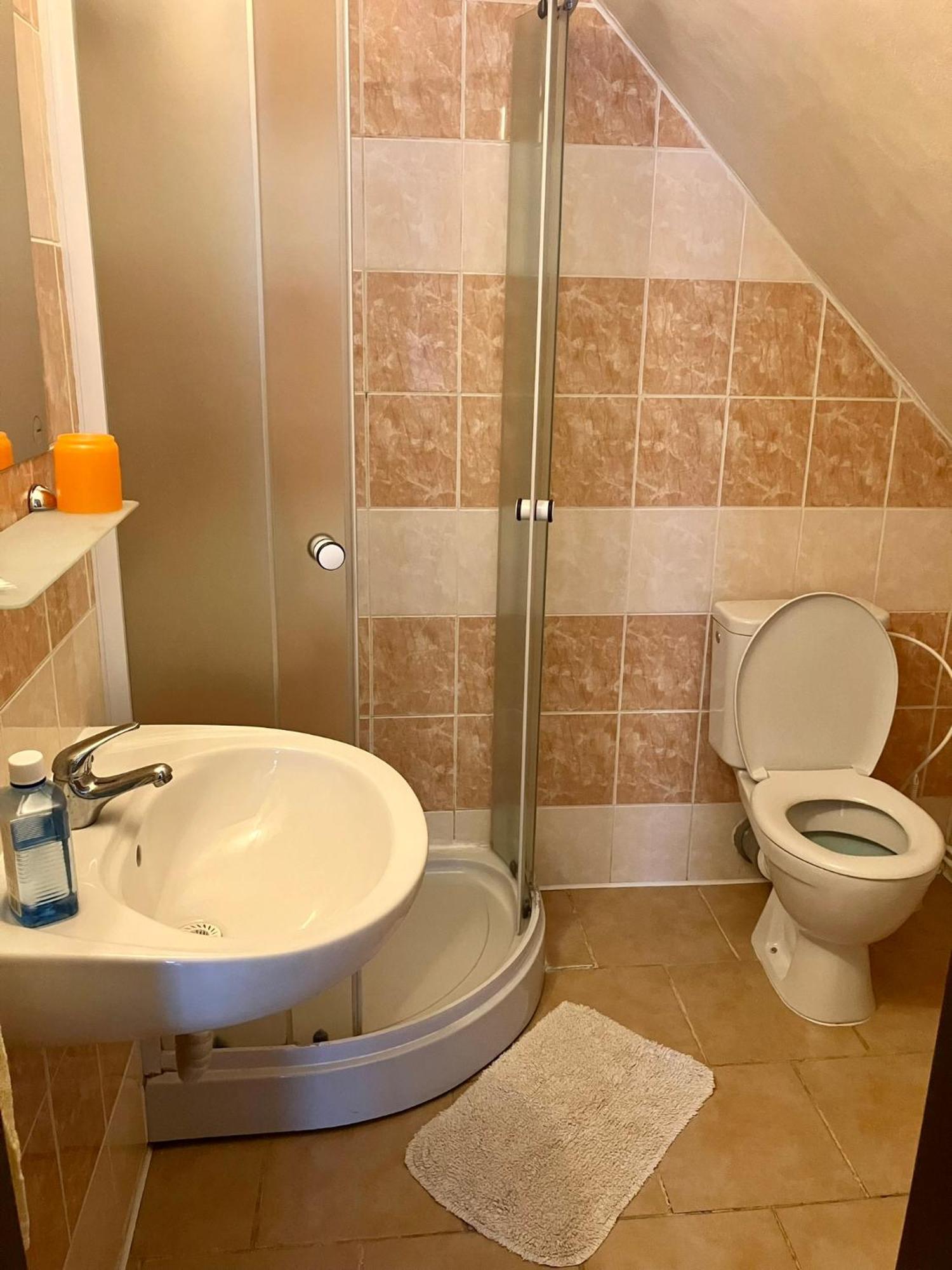 Chata Tereza Hotel Janov nad Nisou Luaran gambar