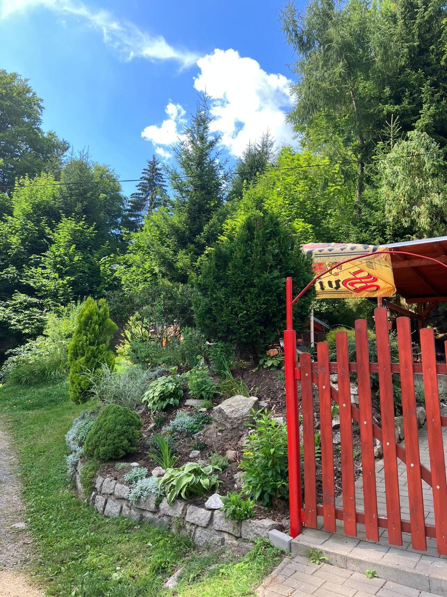 Chata Tereza Hotel Janov nad Nisou Luaran gambar